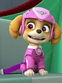 Paw Patrol S5 E7