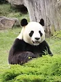 Parc de Cerza, au plus près des animaux S1 E12