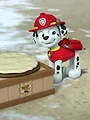 Paw Patrol S2 E24