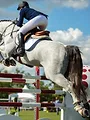 Vu Sur Equidia