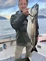 Les globe-pêcheurs en Norvège