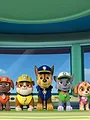 PAW Patrol S5 E19