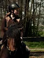 HipHorses - Du und Dein Pferd