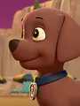 Pat' Patrouille S4 E26