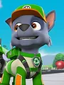 Pat' Patrouille S5 E20