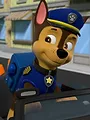 Paw Patrol S8 E3