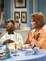 Alf S4 E23
