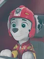 Paw Patrol S11 E10