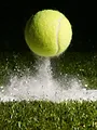 Paratennis : Open du Loiret