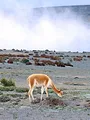 L'Equateur, au sommet de la biodiversité