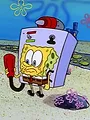 Bob l'éponge S1 E1