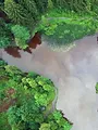 Wunderbare Waldwelt - Wie diese grünen Oasen zum Klimaschutz und zu unserer Gesundheit beitragen