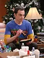 The Big Bang Theory S8 E11