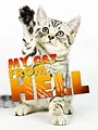 Hell's Cat : mon chat est un cauchemar