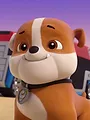 Paw Patrol S9 E12