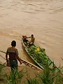 En quêtes indigènes