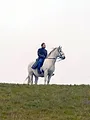 L'homme au cheval blanc