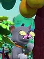 Paw Patrol S10 E8