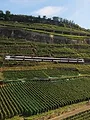 Traumhafte Bahnstrecken der Schweiz