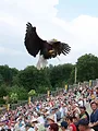 Puy du Fou : les secrets du parc d'attraction préféré des Français