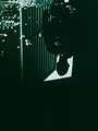 Les signes du mal