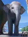 Athleticus S4 E6
