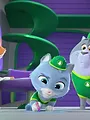 Pupstruction, les chiots en action S1 E7