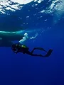 A la rencontre des baleines avec Steve Backshall