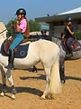 Au galop ! Une saison à cheval