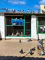 mareTV: Fuerteventura