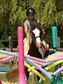 Au galop ! Une saison à cheval