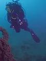 Trésors sous les mers