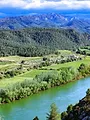 Rios