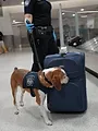 Ultimate Airport USA