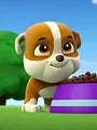 Paw Patrol S1 E12