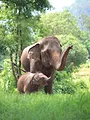 Une saison au zoo