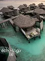Echo-logis