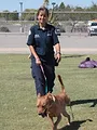Animal Cops