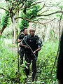 Hawaii 5-0 S10 E15