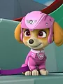 Paw Patrol S5 E21