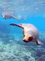 L'Equateur, au sommet de la biodiversité
