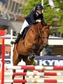 Au galop ! Une saison à cheval