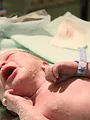 Baby boom