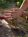 Légion étrangère : un mois au coeur de l'enfer vert