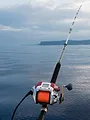 Québec à vol d'oiseau