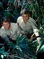 Les têtes brûlées S1 E16