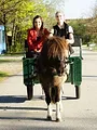 Anna und die Haustiere