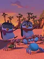 De avonturen van kleine pinguïn S1 E39