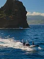 A la rencontre des baleines avec Steve Backshall