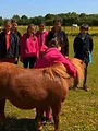 Au galop ! Une saison à cheval